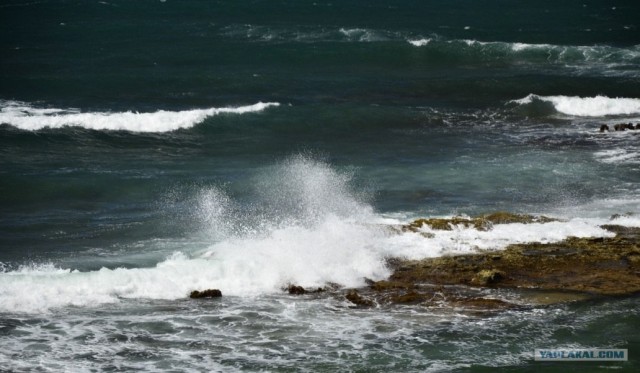 Путешествие по Северной Америке