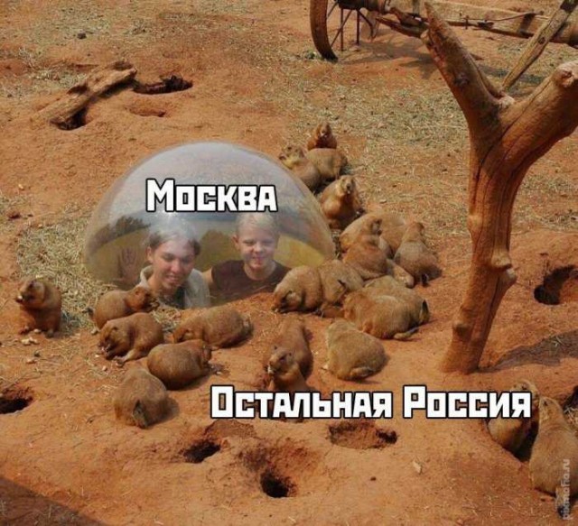 Картинки и мемы для настроения. Выходные рядышком...