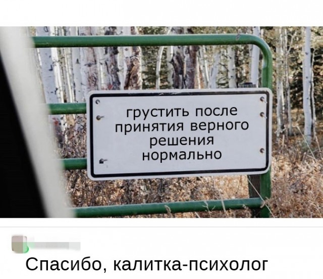 Так себе картинки 06.08.22