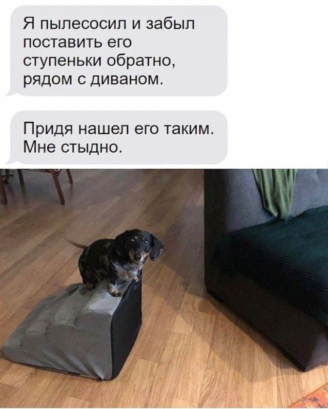 Забавные шутки, фразы, картинки из этих ваших интернетов 01.09.2022