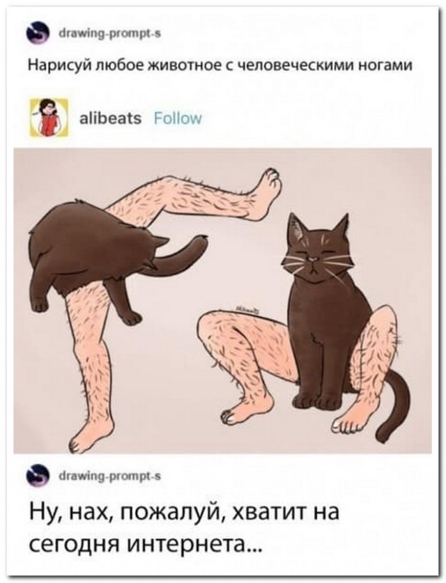 Картинки и мемы для настроения - 111