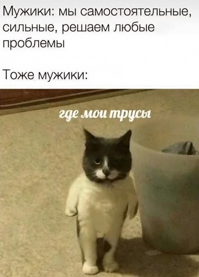 Картинки и мемы, выходные продолжаются