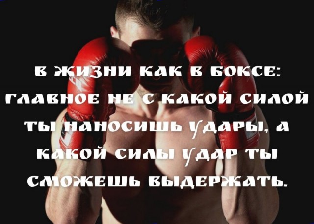 Победная поступь идиотизма по планете – том 9