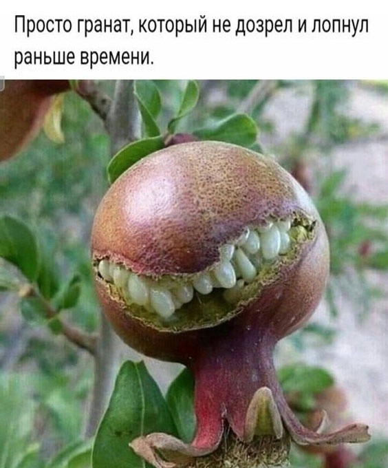 Так себе картинки 05.03.23