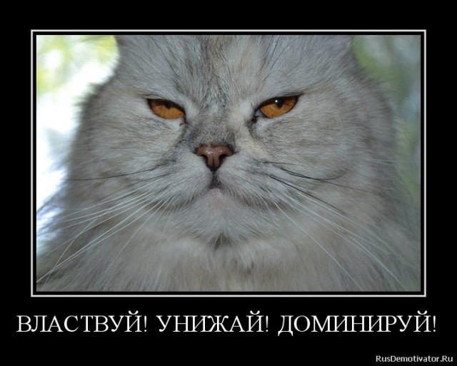 Наглость - второе счастье