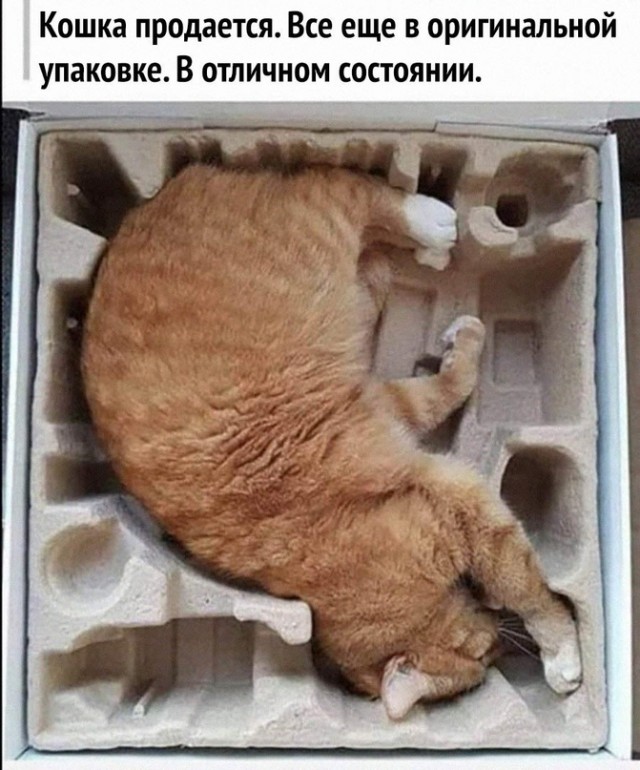 Немного картинок для настроения - 153