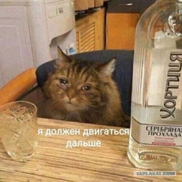 Как вас встречают на работе?