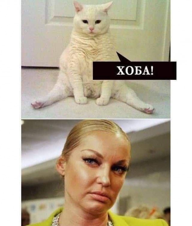 Народная меДИЧина 1036