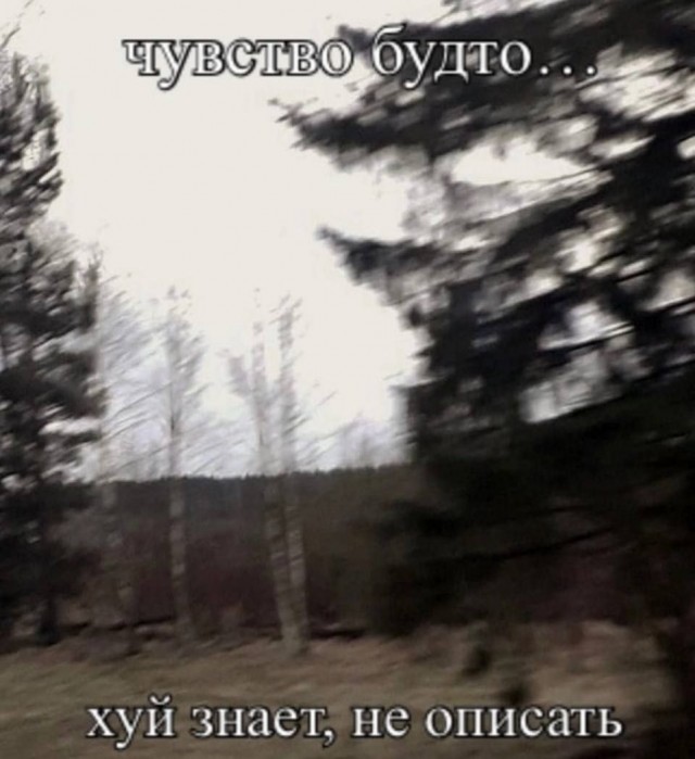 Всего понемногу 24.05
