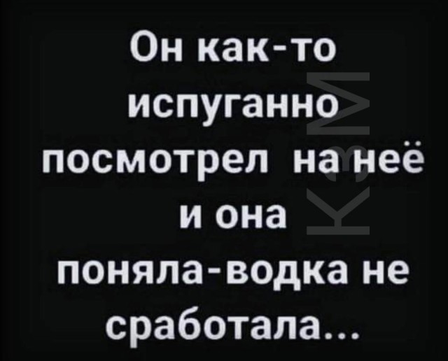 Весёлый полтишок 08.07.23