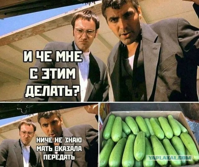 А у вас как дела на даче ?