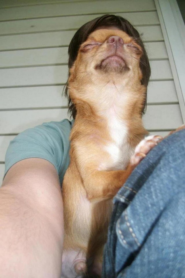 Просто фотки с животными №2