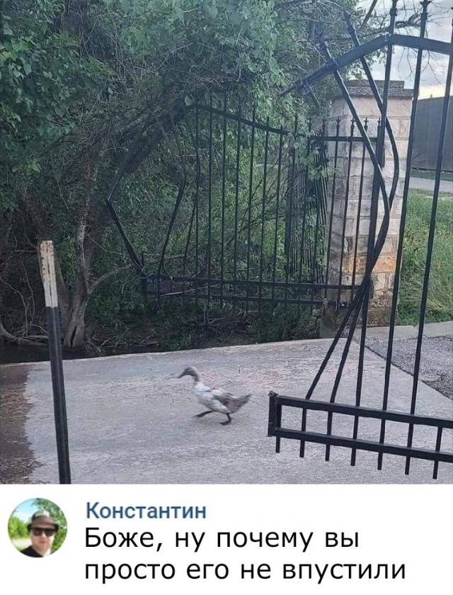 Так себе картинки 24.10.23