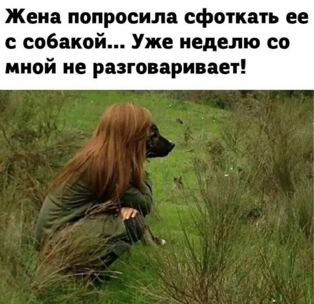 Отряд быстрого деградирования