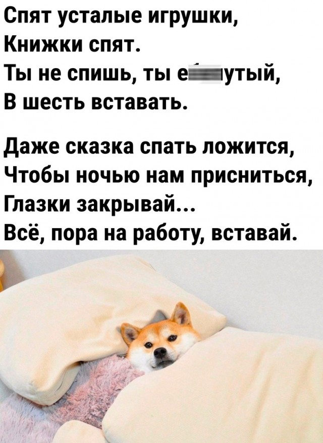 Так себе картинки 16.01.24