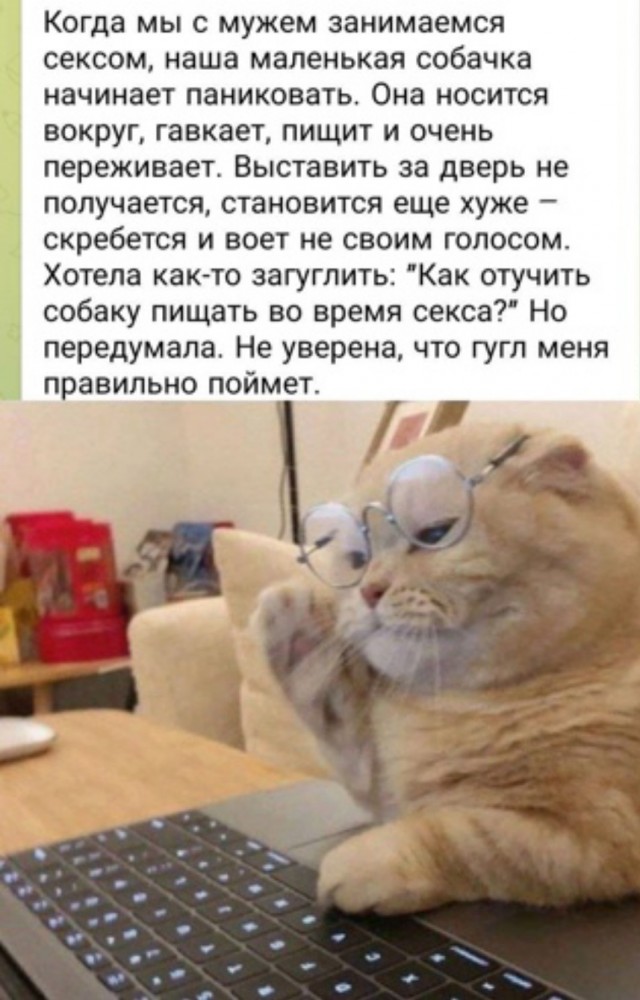 Пятничные картинки 19.01.2024