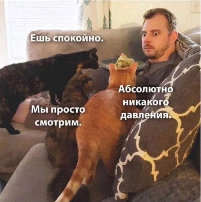 Мемчики и картинки для настроения и подумать