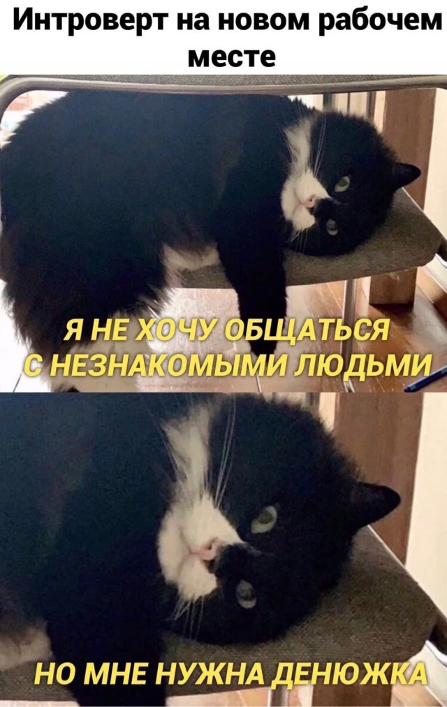 Так себе картинки  07.02.24