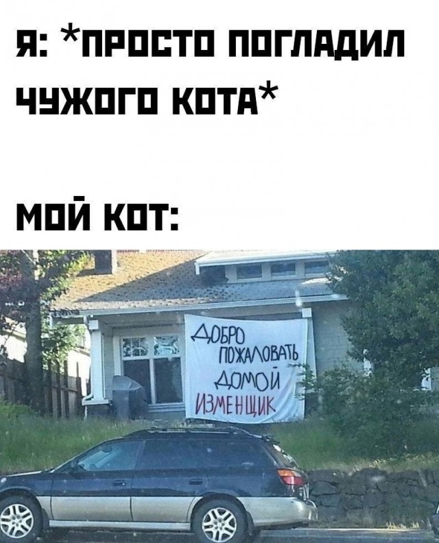 Так себе картинки 19.02.24