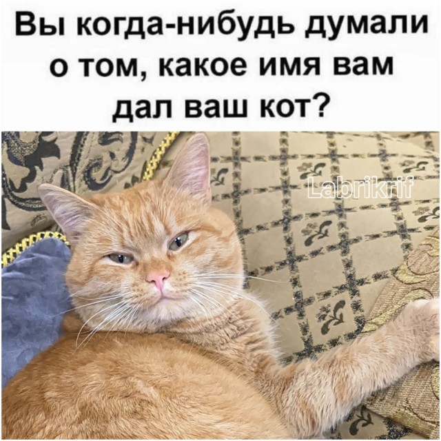 ТРРРидцать тРРРи от 23 апРРРеля
