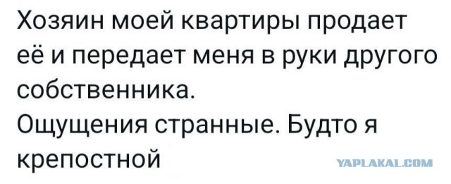 Так себе картинки 29.04.24