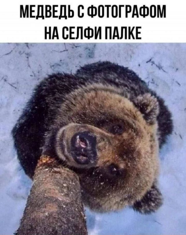 Завалялось тут случайно немного забавных картинок