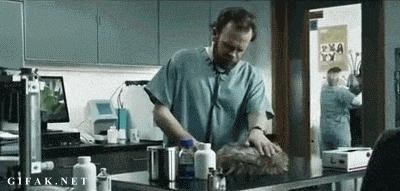 Семья ветеринаров