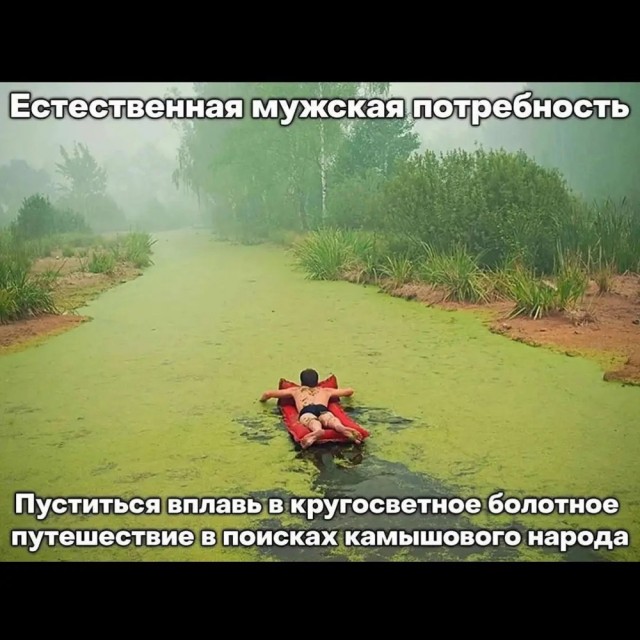 Отряд быстрой деградации