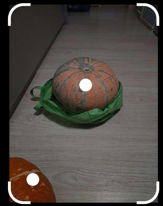 Тыквы