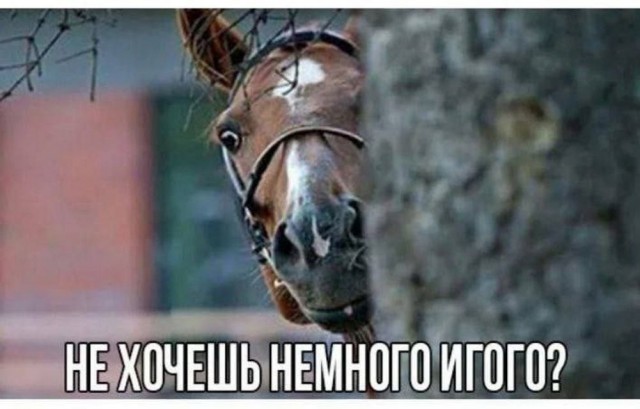 Нуштош 11.10.2024