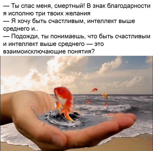 Так себе картинки 20.11.24