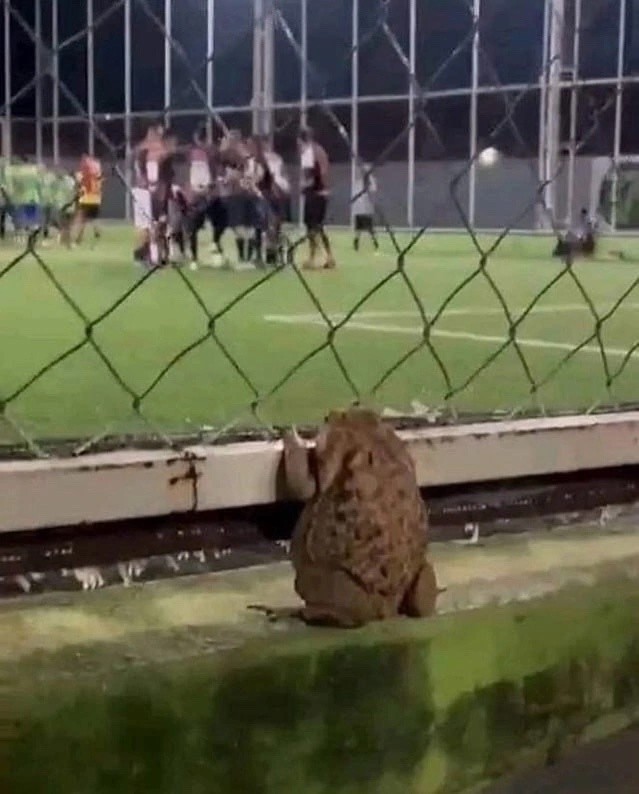 Так себе картинки 10.12.24