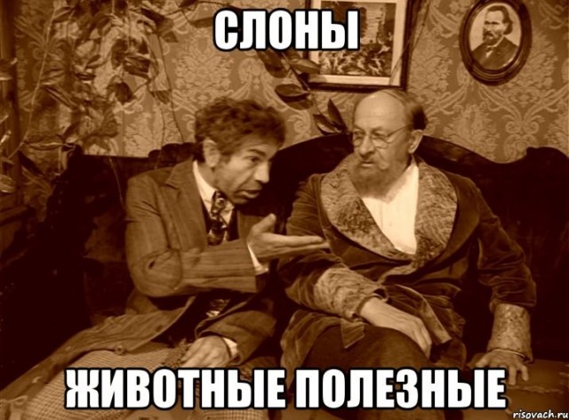 Слоненка, который потерял свою мать, приходится укладывать спать