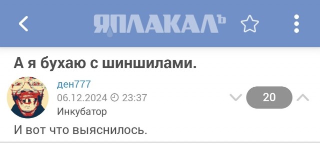 Свой среди чужих, чужой среди своих