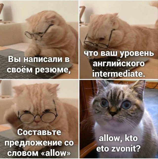Завалялось тут случайно немного забавных картинок