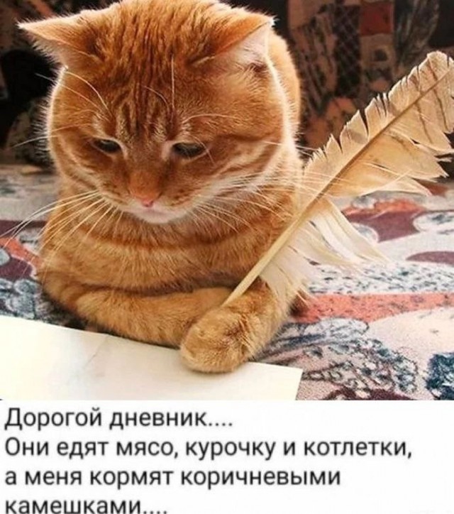 Картинки о том, о сём...