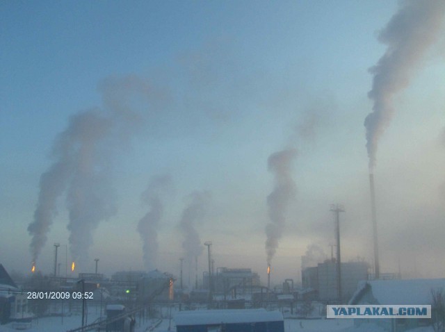 Красота! Лето на Ямале. Фото