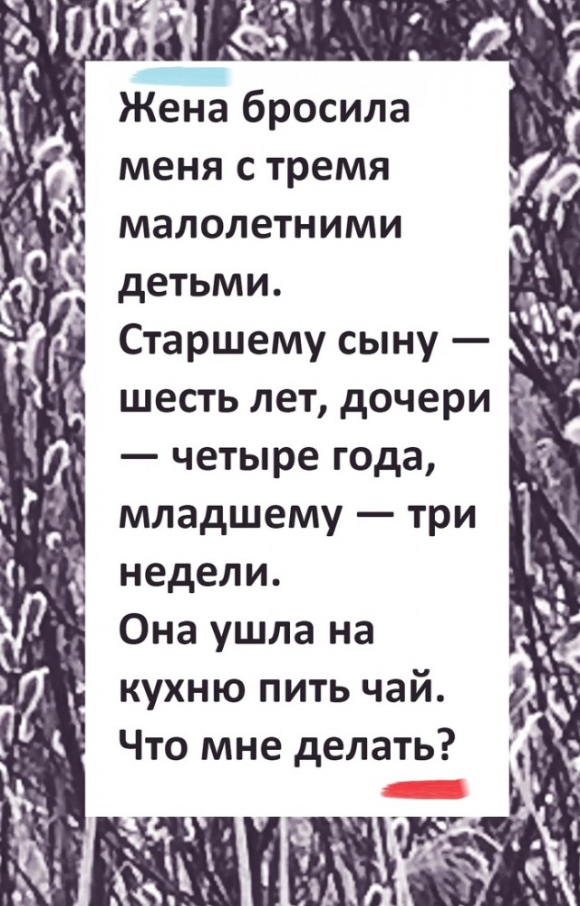 Так себе картинки 13.06.25