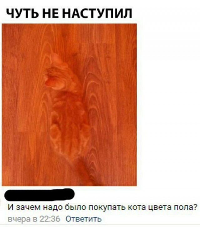 Так себе картинки 15.06.25