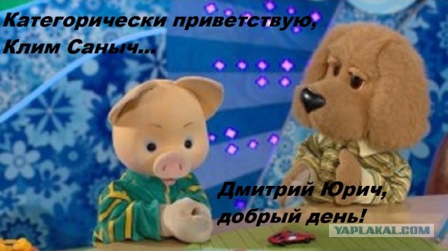 Да чё там на вашей даче делать?
