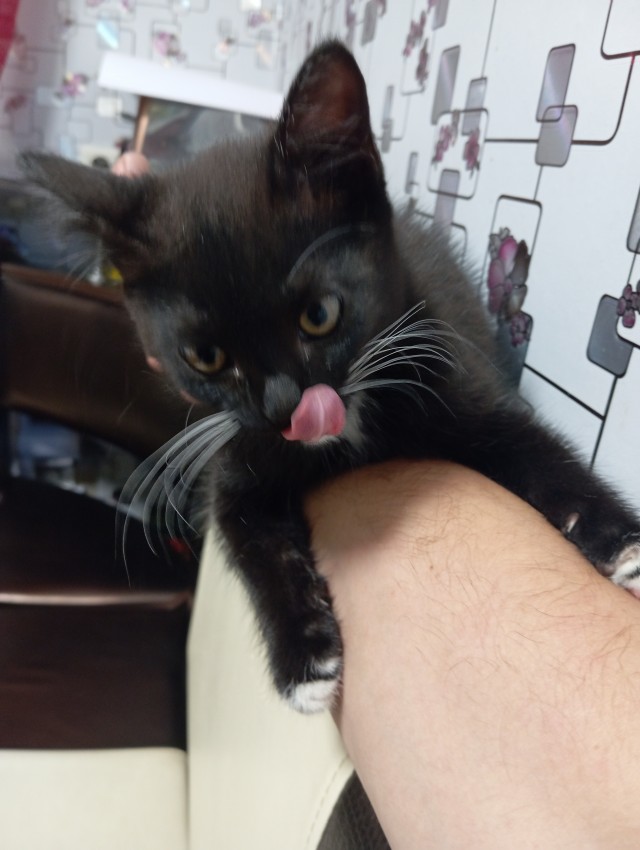 Его первый вторник