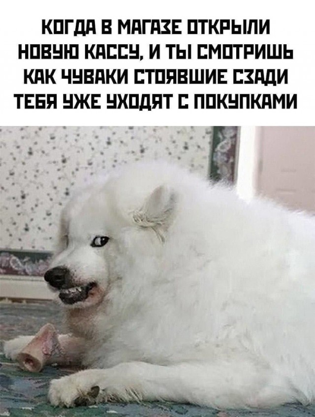 Так себе картинки 15.10.25