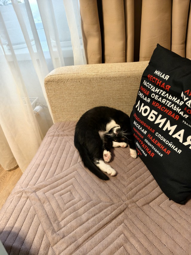 Кажется мы стали забывать