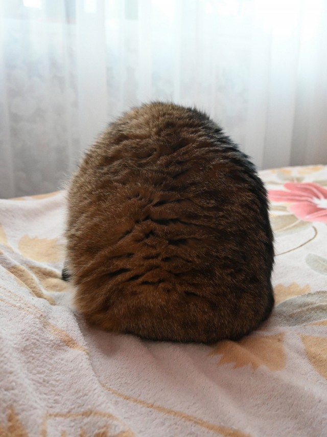 Прикольные и просто красивые картинки 18.11.2025