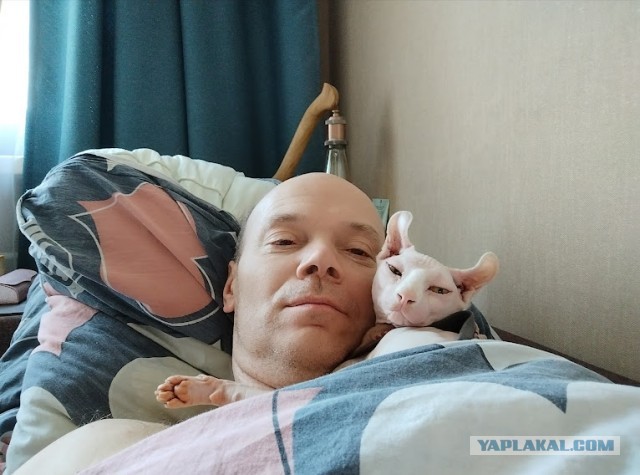 Оставил окорочка размораживаться на кухне...
