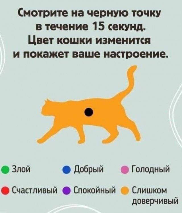 К котовторнику: подборка картинок-баянов с котиками и про котиков. Выпуск 27.
