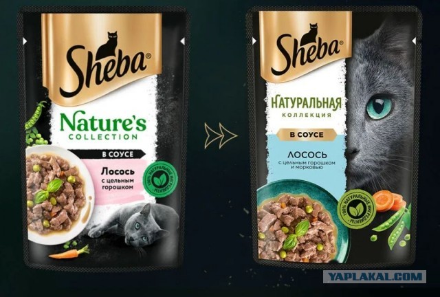 Выбор влажного корма для кошки