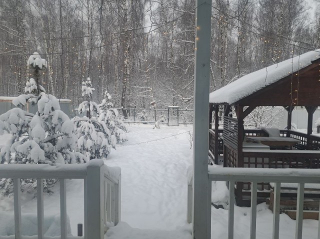 Настоящий Новый год