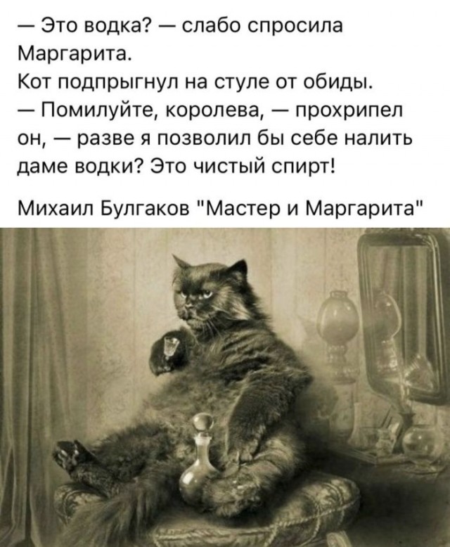 Картиночки, баянчики 27 февраля