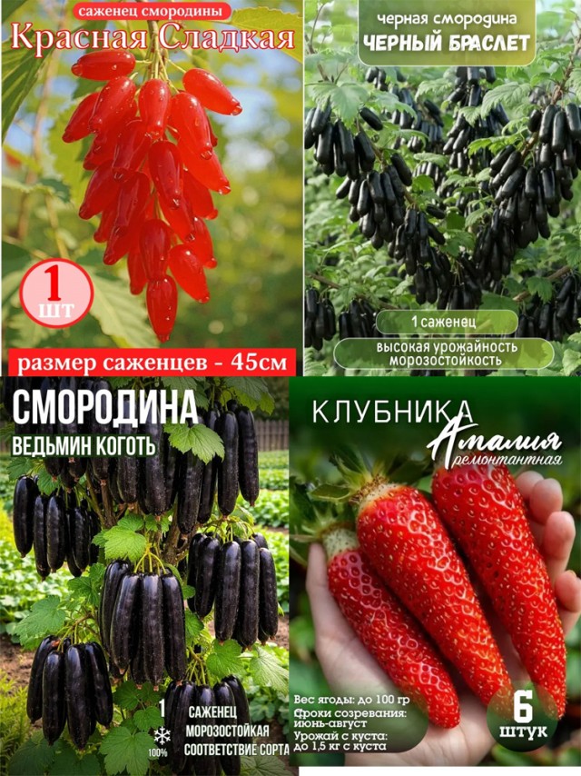 Бабушки массово скупают саженцы несуществующих растений на маркетплейсах
